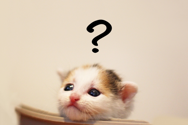 UMBって知ってますか？